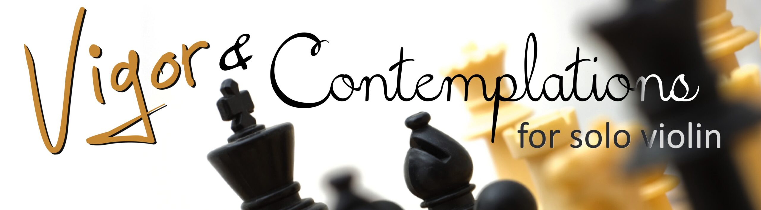 vigor_and_contemplations_web_banner